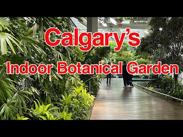 The Devonian Gardens | Calgary's Indoor Tropical Botanical Garden | City of Calgary Parks | 4K