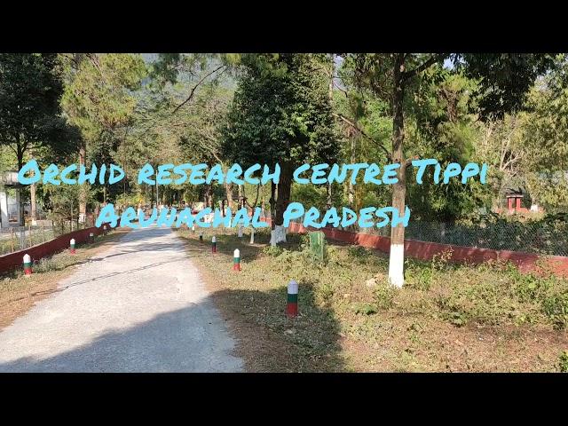 Short clip of Orchid research centre Tippi, Arunachal Pradesh ️️