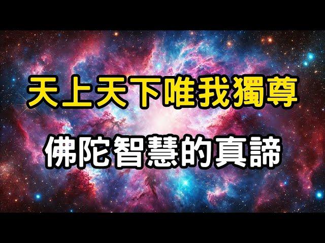 天上天下唯我獨尊：佛祖智慧的真諦！從前世到今生，業力與福報的無盡循環，如何超越時空限制？ #開悟 #覺醒 #靈性成長