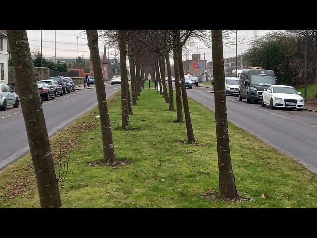 Walking with Tamson, episode 55. Lime Tree Walk and Alloa Harbour, SCOTLAND