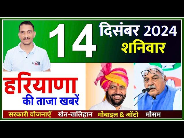 14 December 2024 Haryana News || हरियाणा की ताजा खबरें || Haryana Live News || CWB Hindi News