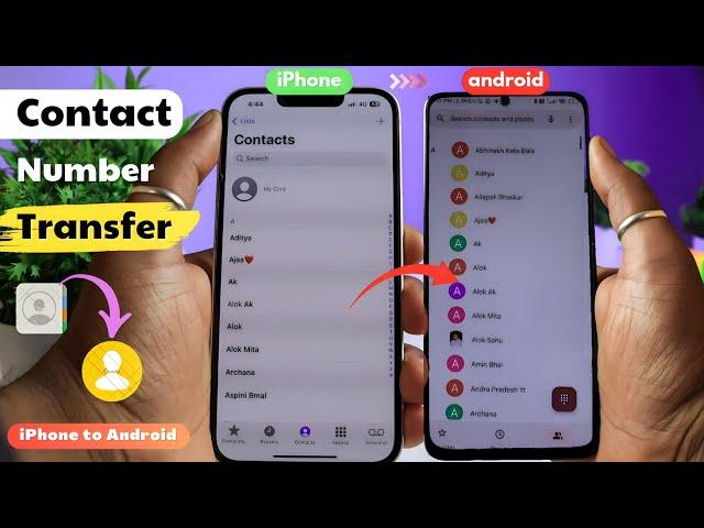 How to Transfer Contacts from iPhone to Android 2023 (Without Computer or Apps)