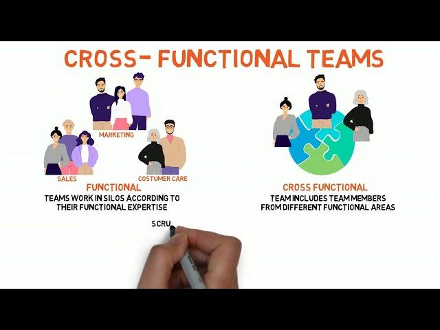 Cross-functional teams