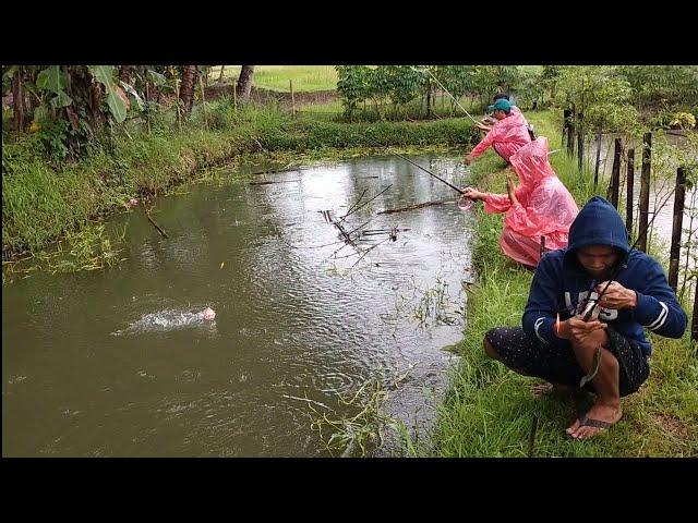 MANCING IKAN MUJAIR‼️ KU TAK SANGGUP LIAT GOYANGANMU OHH PELAMPUNG...