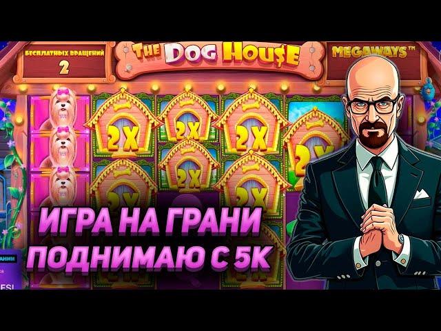 СЛОВИЛ ЗАНОС НА ПОСЛЕДНЕМ СПИНЕ! ПОДНИМАЮ БАЛАНС С 5К В THE DOG HOUSE MEGAWAYS!