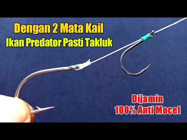 Rangkaian pancing kakap putih - Anti mocel - Teknik pelampung