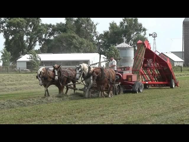 Baling Hay With Horses and Norden Mfg 1534 Hay Accumulator