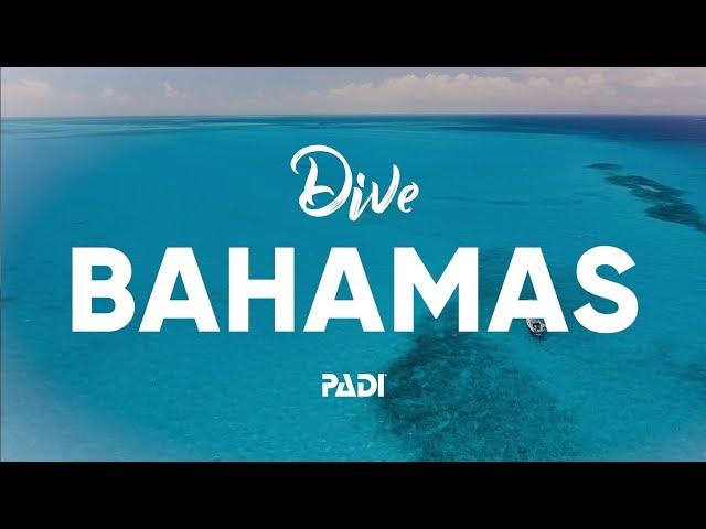 Scuba Diving in the Bahamas