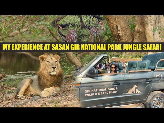 Gir National Safari Park I Sasan Gir Gujarat I Jungle Safari I Asiatic lions only in India I