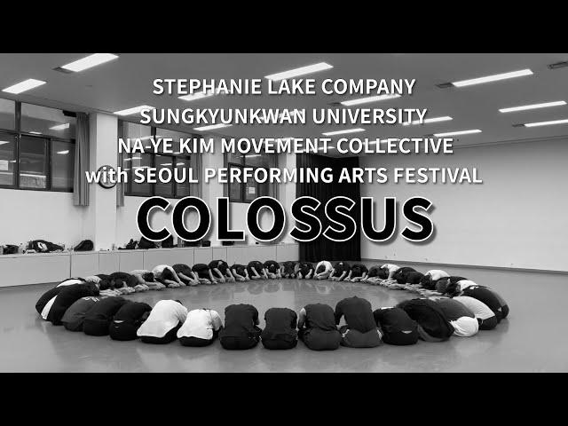  [BTS 영상] 성균관대학교 무용학과, 세계적 현대 무용 안무가 Stephanie Lake의 작품 Colossus 2024년 서울국제공연예술제 참가