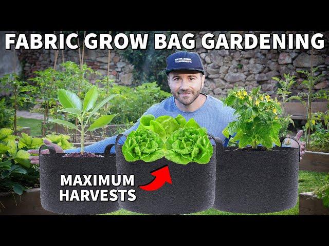 How To Use Fabric GROW BAGS For The Container Garden Of Your Dreams