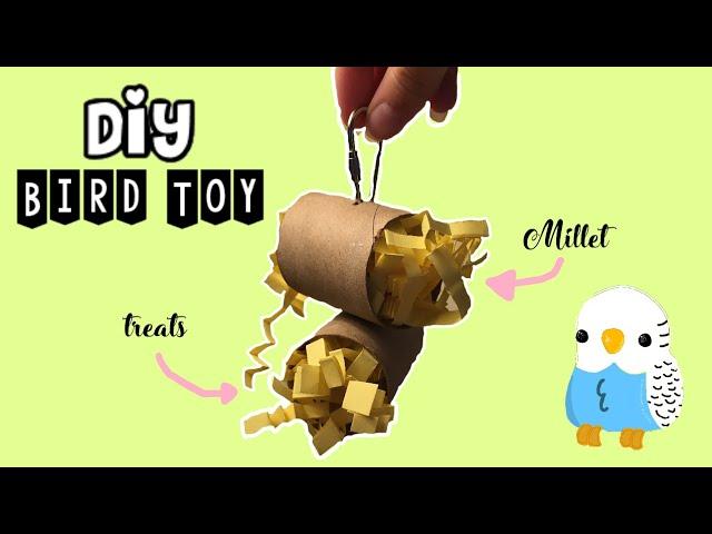 How To Make a DIY Bird Toy   DIY Bird Foraging Toy