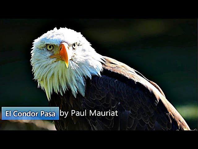  Paul Mauriat - El Condor Pasa（老鷹之歌）