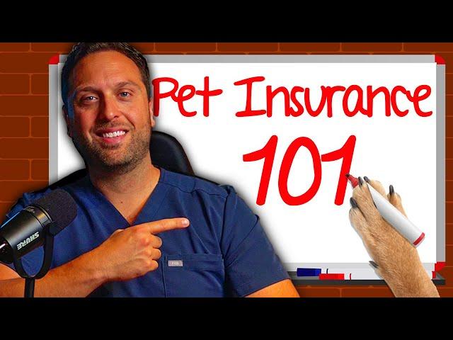 The Ultimate Guide To Pet Insurance (2024 Edition)