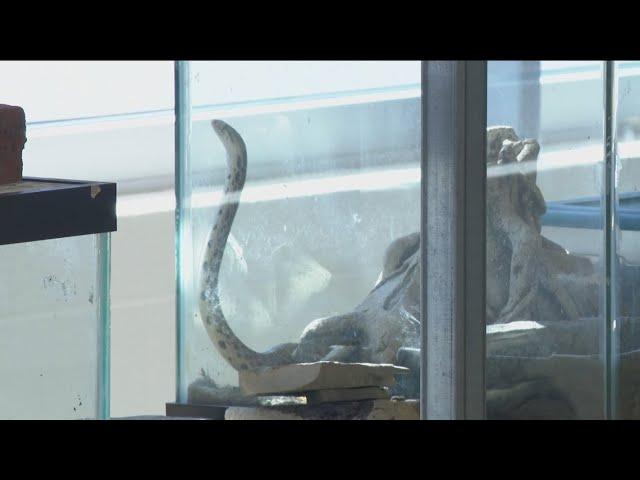 Toledo Public Schools unveils renovations to Natural Science Technology Center