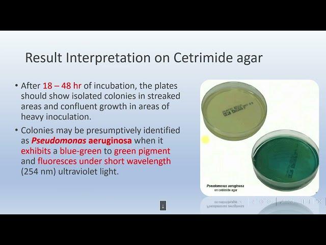 Pseudosel Cetrimide agar