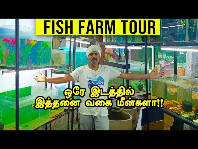 Fish Farm Tour | வண்ண மீன் பண்ணை டூர்  | Vedha Fish Farm | Our Journey