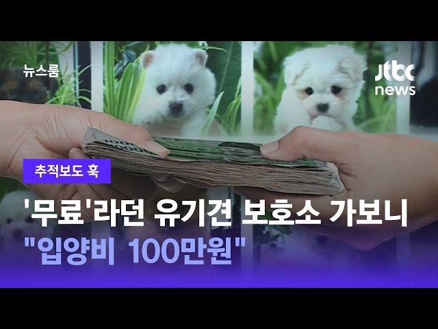 [추적보도 훅｜단독] '무료'라던 유기견 보호소 가보니…"입양비 100만원" / JTBC 뉴스룸