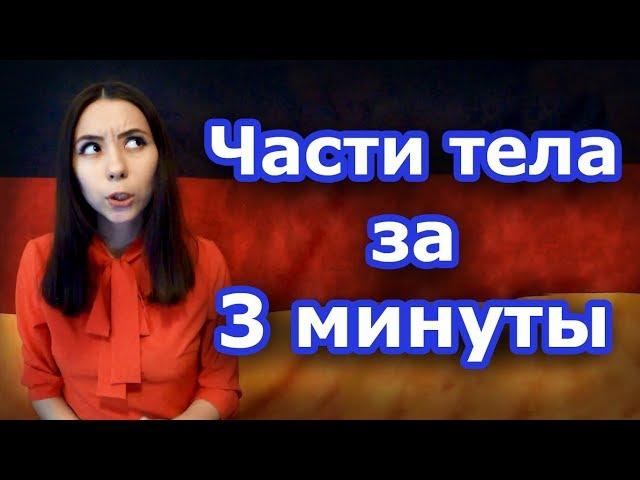 Как запомнить немецкие слова? Тема «Части тела». Часть 1. Уровень А1.