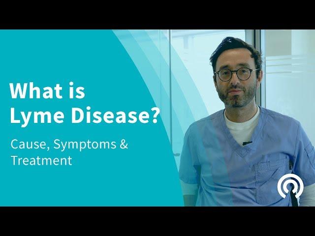 What is Lyme Disease? | Lyme Disease Causes, Symptoms & Treatment