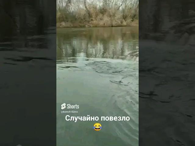 Когда повезло на рыбалке  Ловить надо уметь #fishing #shorts