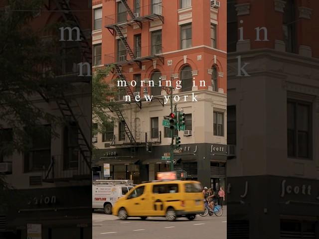 morning in new york 뉴욕의 아침 #shorts #newyork #뉴욕 #일상 #브이로그 #vlog