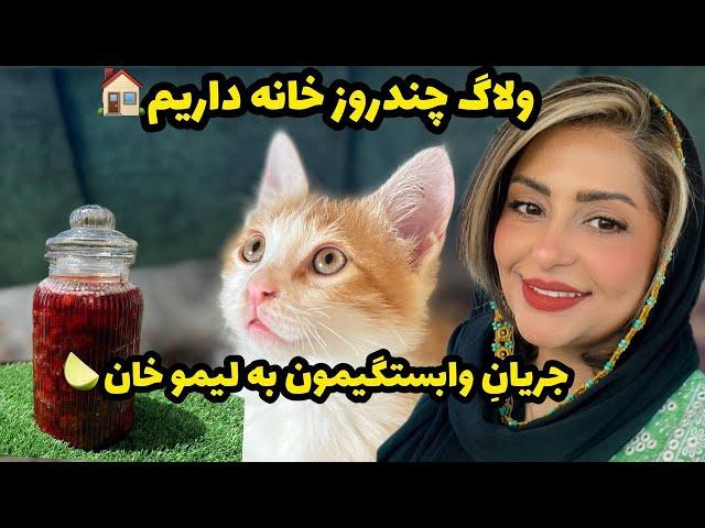 ولاگ روزانه من چند روز خانه داریم و مربای توت فرنگی خوشمزه که درست کردم ️
