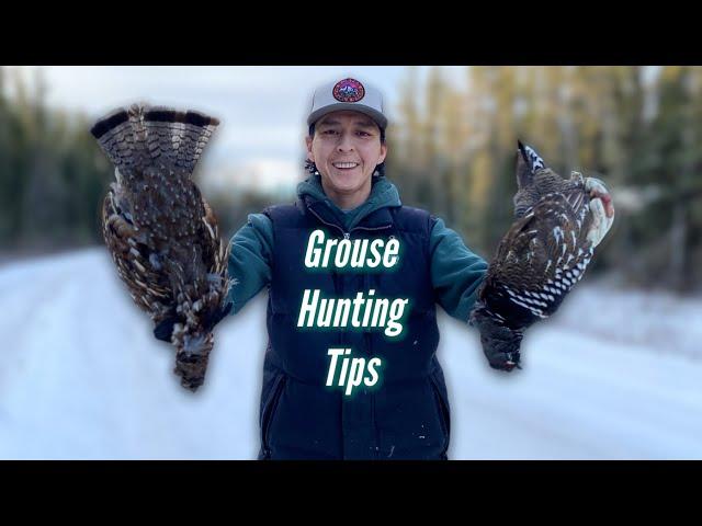 Tips on grouse hunting (beginners)