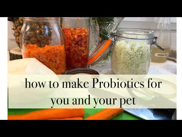 How to make Probiotics for you and your pet