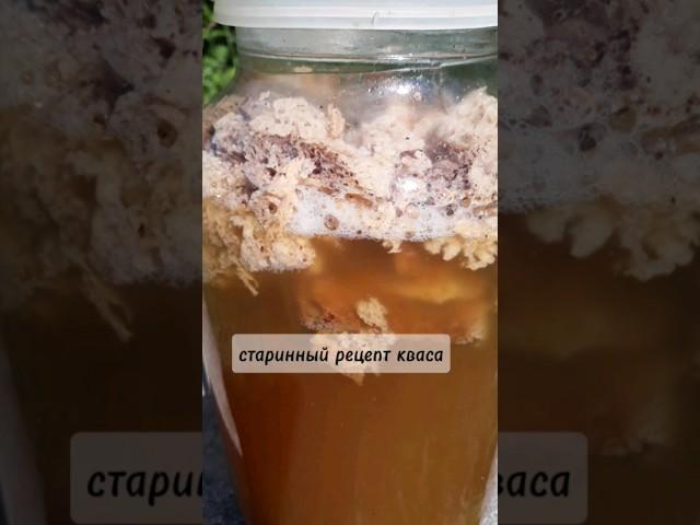 КАКОЙ СТАРИННЫЙ РЕЦЕПТ КВАСА? ТАК ДЕЛАЛИ НАШИ БАБУШКИ. #деревня #квас #рецепты