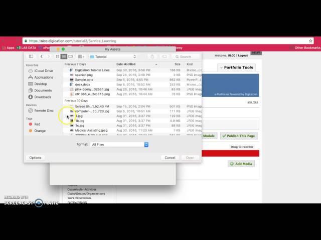 SLCC Digication: Using a Gallery for Multiple Medias
