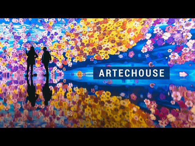 Artechouse DC - 'In Peak Bloom'