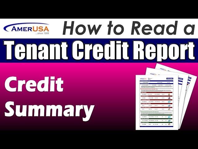 Credit Summary - How to Read a Tenant Credit Report (Professional Landlords)