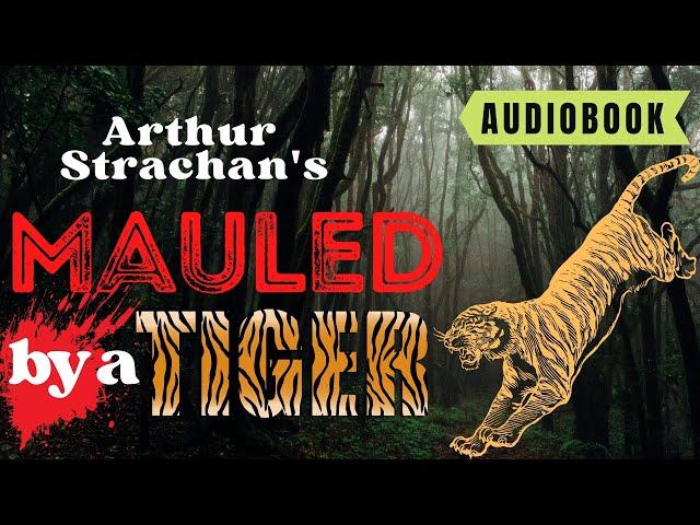 Mauled By a Tiger: A Shocking Jungle Encounter | Arthur W. Strachan | Adventure Audiobook