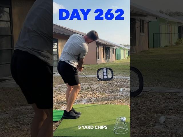 Day 262 of becoming a scratch golfer in 1 year #golf #bammikell