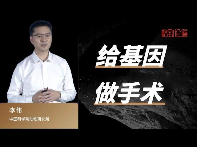 880｜李伟：给基因做手术｜中国科学院动物研究所｜格致SELF