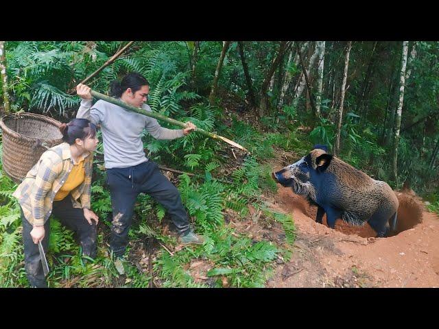 how to make traps, wild boar traps, survival in the rainforest, farm life,  SURVIVAL ALONE