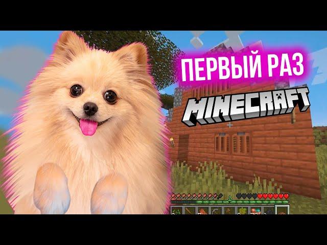 ПЕРВЫЙ РАЗ ИГРАЮ В МАЙНКРАФТ ! 99% НЕ СМОГУТ ПОСТРОИТЬ ТАКОЙ УЖАСНЫЙ ДОМ