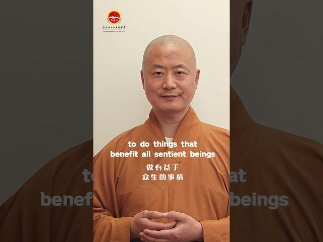 随缘Suiyuan #仁山法师 #佛法 #阿弥陀佛 #念佛 #buddhism #purelandbuddhism