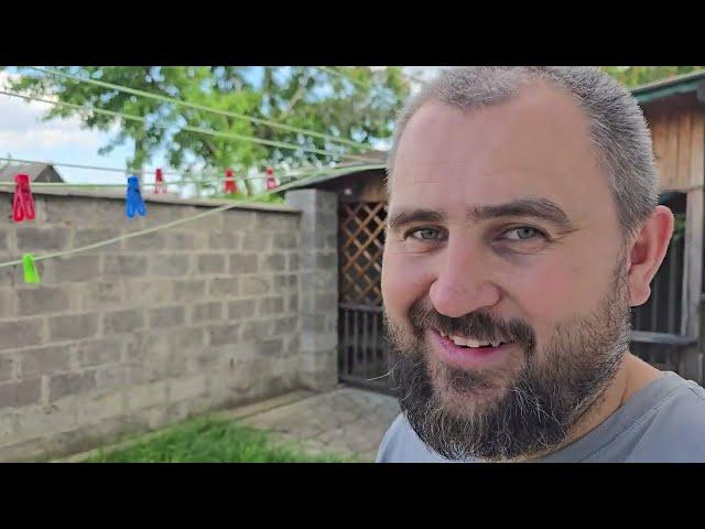 Как дела в огороде? Что с растениями? Что мне делать?