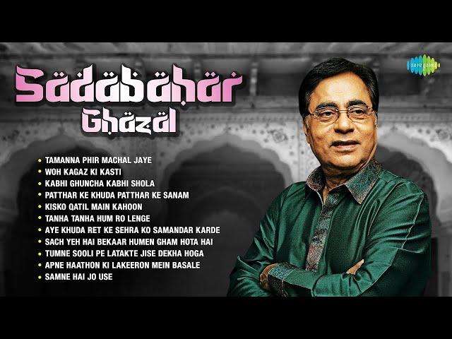 Jagjit Singh Sadabahar Ghazal | Tanha Tanha Hum Ro Lenge | Woh Kagaz Ki Kasti | Audio Jukebox