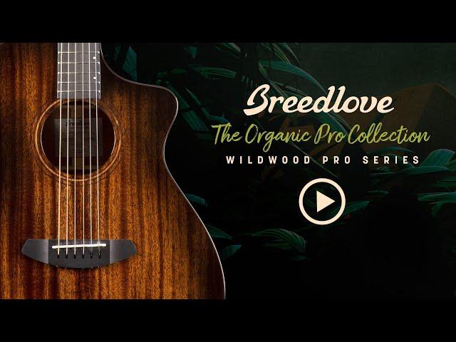 Breedlove Organic Collection Wildwood Pro Guitar Series with Designer Angela Christensen