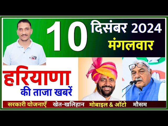 10 December 2024 Haryana News || हरियाणा की ताजा खबरें || Haryana Live News || CWB Hindi News