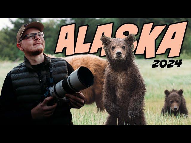 My Top 10 Wildlife Photos of 2024 (Alaska)