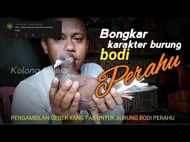 Karakter terbang dan turun merpati berbentuk perahu