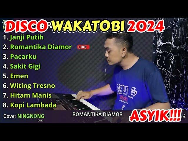 LAGU INI DI JAMIN BIKIN GOYANG!!! VERSION DISCO WAKATOBI 2024 BASS MANTAP!!!