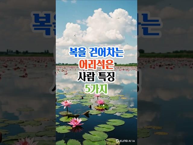 복을 걷어차는 어리석은 사람특징 5가지#명언#좋은글#삶의지혜#인생조언