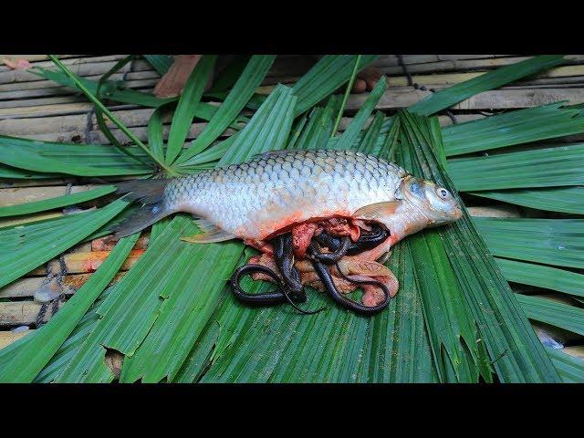 Wow!! Unbelievable Snake In Big Fish Stomach and then Cooking Fish Soup In Forest