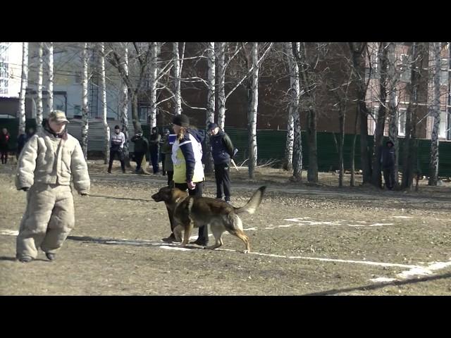 Тиран_Послушание + 1 упражнение