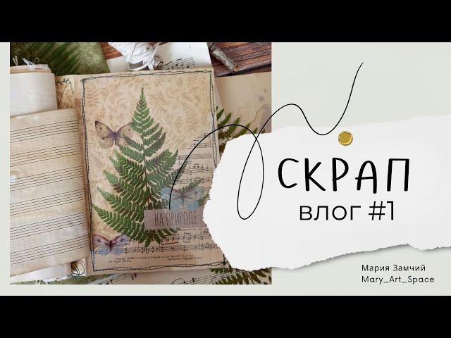 ВЛОГ #1 Планы, лесной джанкбук, про СП, гербарий, посылки и котики ) #скрапвлог #скрапбукинг #scrap